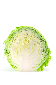 キャベツ 断面 縦画像 Stock 写真 Adobe Stock キャベツ 断面 縦画像 Stock 写真 Adobe Stock