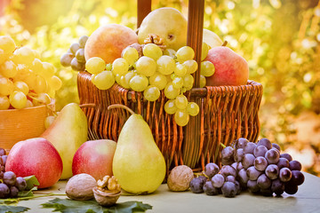  Fresh seasonal organic fruits