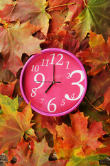 Clock in autumn leaves