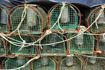 trampas para la captura de marisco