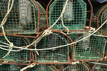 trampas para la captura de marisco