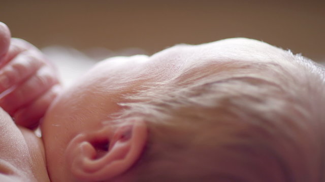Close up of newborn baby's head
