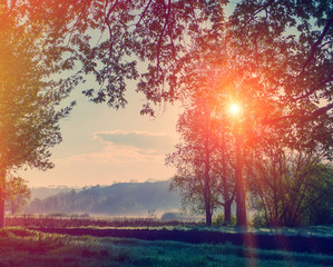 rural landscape