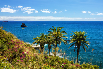 Tropical beach ocean view, Funchal, Madeira