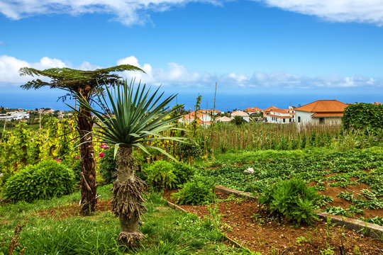 Village Santana, Madeira island, Portugal