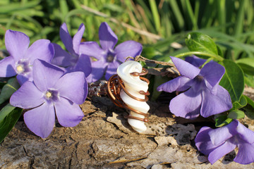 Handmade bronze ring with mother-of-pearl on the nature backgrou