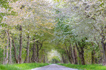 Frühling