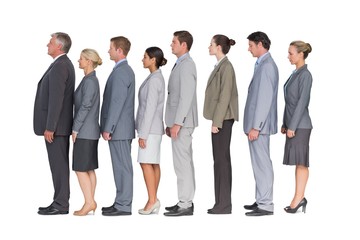 Fototapeta premium Business team standing in row