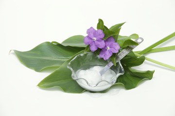 ココナッツオイルと夏の花