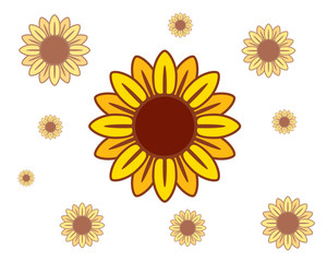sunflower bacground