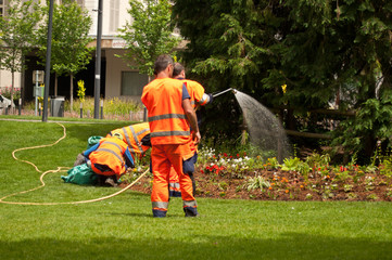 jardiniers arrosant dans un jardin public