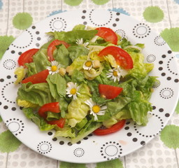 Sommersalat