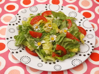 Sommersalat