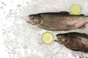 Raw trout fish in ice.