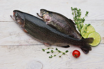 Raw trout fish on a white board