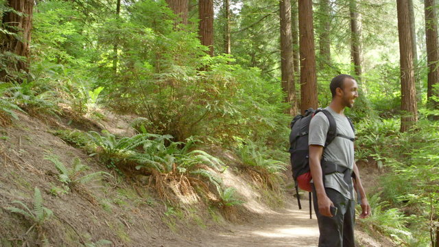 A man hiking a forest trail walks past the camera and then stops to take a picture with his phone