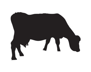 black silhouette of cow