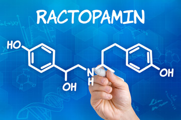 Hand mit Stift zeichnet chemische Strukturformel von Ractopamin