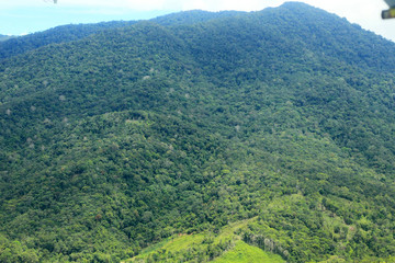Fototapeta na wymiar Rice filed and mountain of Borneo (Aerial Shoot)