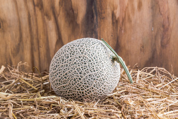 Japan's Melon on hay with wood background