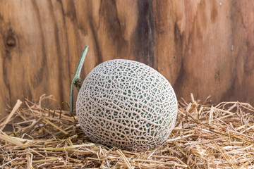 Japan's Melon on hay with wood background