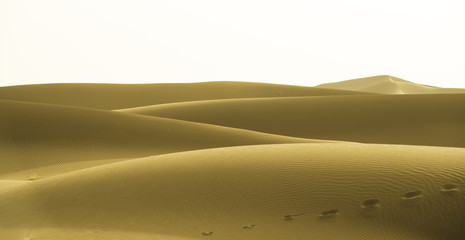 Fototapeta na wymiar Yellow dunes
