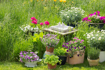 Gartenidylle mit Vogeltränke und Kübelpflanzen