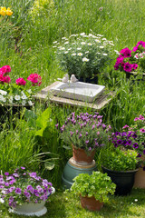 Gartenidylle mit Vogeltränke und Kübelpflanzen