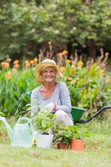 Happy grandmother gardening