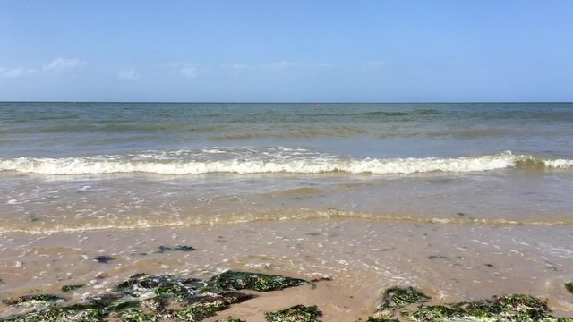 Untamed ocean with waves
