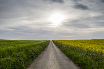 road with nowhere with crops