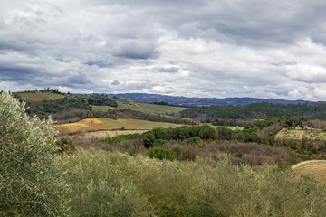 Fototapeta na wymiar Landscape around Monteriggioni, Italy