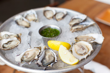 fresh oysters