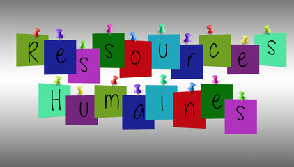 Ressource humaine essay image