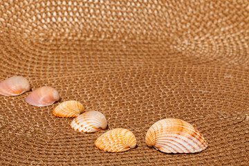 shells - Muscheln auf Bastmatte