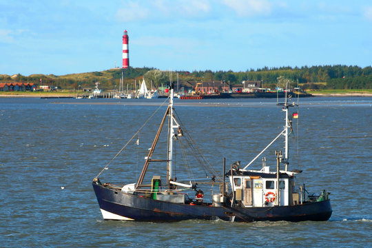 Fischkutter vor Amrum mit Leuchtturm
