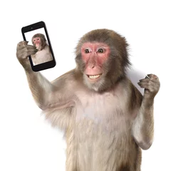 Fotobehang Grappige aap die een selfie maakt en naar de camera glimlacht © Lilya