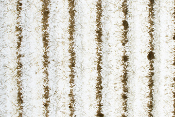 Backlit fibre glass panel