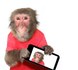 Acrylic prints Monkey Funny monkey taking a selfie and smiling at camera
