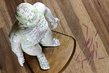 weibliches Akupunkturmodell auf Schreibtisch