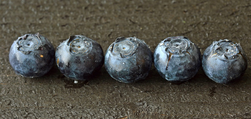 Blueberries berry.