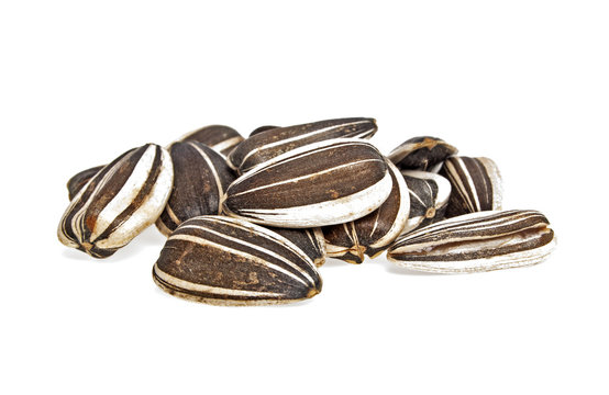 Sunflower seeds on a white background