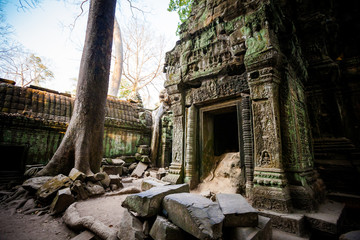 Ta Prohm temple Angkor Wat
