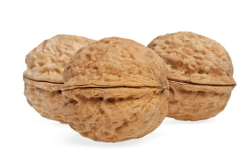 Walnuts on a white background, isolated objects