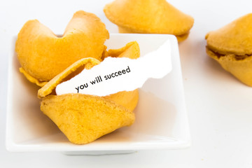open fortune cookie - YOU WILL SUCCEED