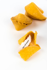 open fortune cookie - YOU WILL SUCCEED
