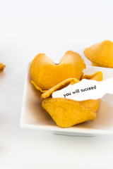 open fortune cookie - YOU WILL SUCCEED