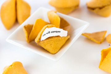 open fortune cookie - YOU WILL CONQUER