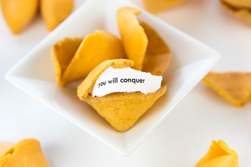 open fortune cookie - YOU WILL CONQUER