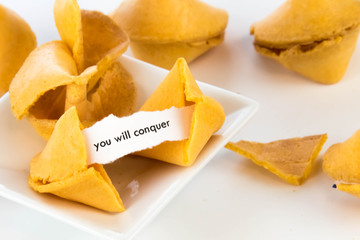 open fortune cookie - YOU WILL CONQUER